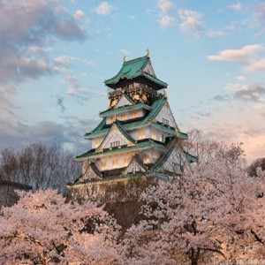 Quyến rũ sắc thu Osaka, Nhật Bản